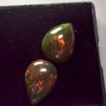 Pereche opale para negre