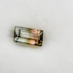 Turmalina bicolora watermelon