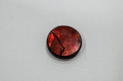 Ammolit 13mm