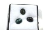 Turmaline caboshon cat's eye