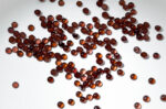 Granate caboshon 2.5mm